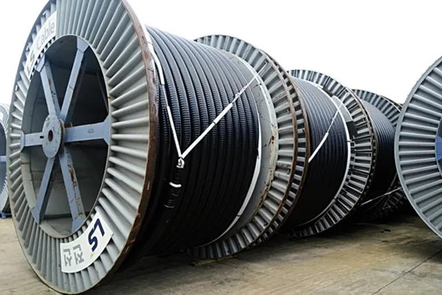 encapsulated cable